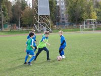 IMG_7434